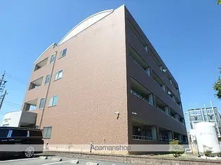 ココモ岡田の画像
