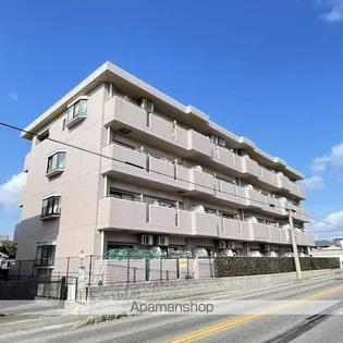 シェモワMの画像