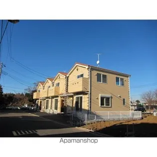 ピエニコティーの画像