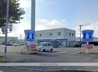 カノンオビヒロの画像