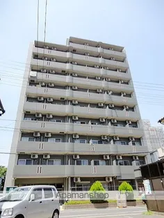 ホタカリュミエール イワタの画像