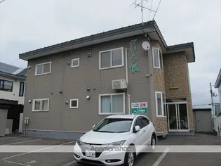 グリーン楓の画像