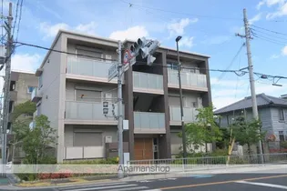 SHAMAISON FRISEの画像