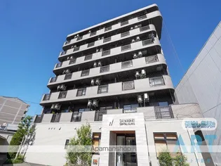 ボンデパールの画像