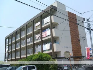 コーポ江戸屋敷【221号室】の外観