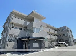 MAISON DE MAUVEの画像