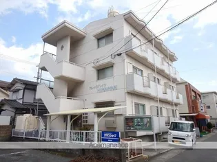 カレッジハイツひまわり【302号室】の外観