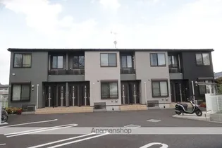 アンバス コサスの画像