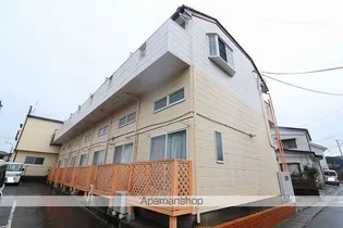 パルーム並木の画像