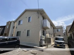 アサケラソスの画像