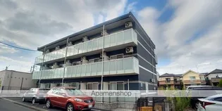 レオネクストヒマワリの画像