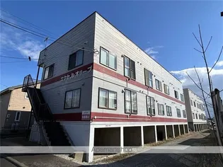 エクセルオリーブの画像