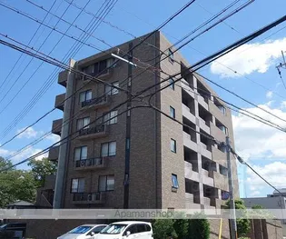 カレラ デ オエステの画像