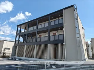 ラ ヴィーダ ヌエバの画像