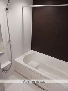 サウスウェーⅧ A【2階】の風呂