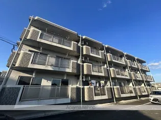 プランドール Tの画像