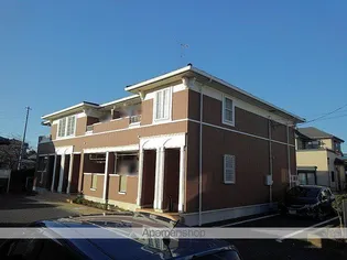 ステラ プレッソの画像