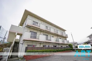 富田ハイツ【2階】の外観