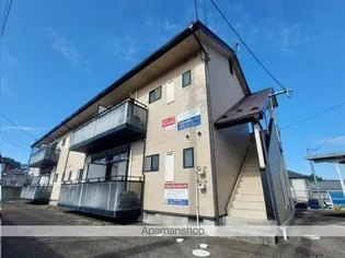 バーシティハウスパピィの画像