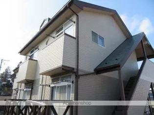 ロイヤルパインAの画像