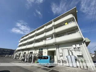 サラスバティ肥子の画像