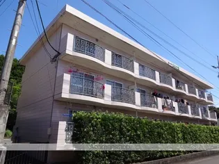 コーポ自由が丘【1C号室】の外観