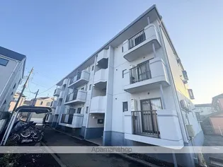 フェルムグレースの画像