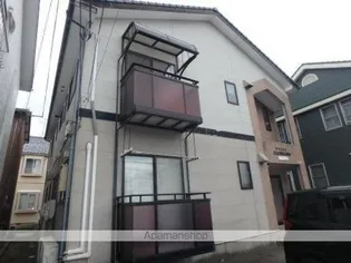 ジャスミンハセガワの画像