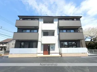 シーガルの画像