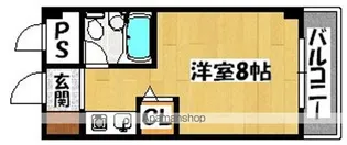 ベルネージュ峯尾【3階】の間取り