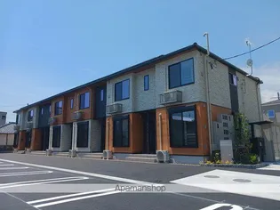 モンステラの画像