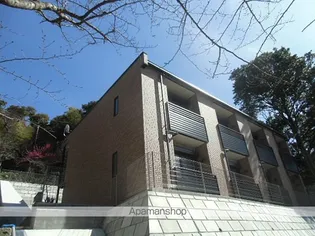 レオネクストシャルマンの画像