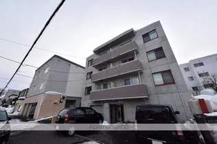 Mセーナ澄川の画像