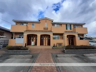 オレンジソーワの画像