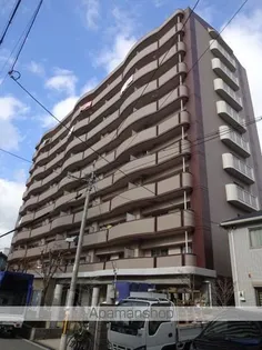 エヌズの画像