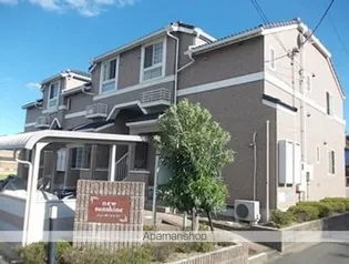 ニューサンシャインの画像