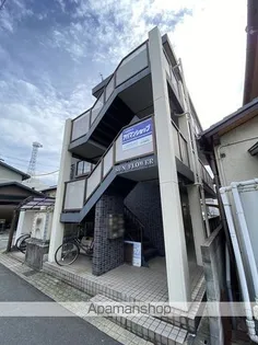 サンフラワーの画像