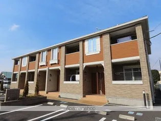 ビッグ ツリーの画像