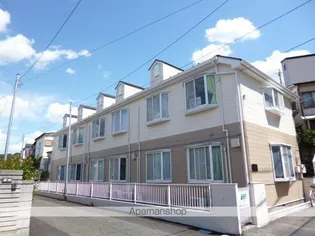 ステラ17の画像