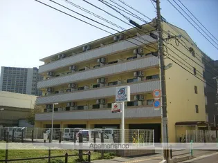 エスペランサの画像