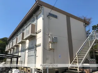 パームツリーの画像