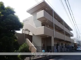 オンリーワンの画像