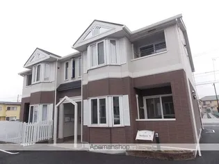 マルベリーNの画像