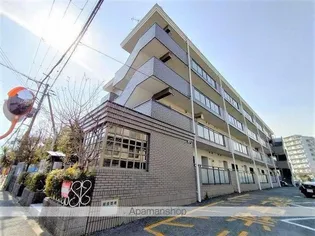 ファミールシーダの画像