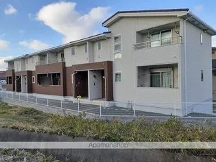 フェリシダの画像