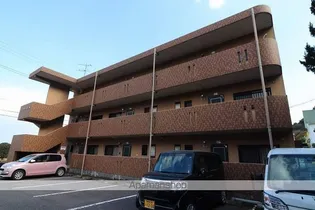 フィフティズAの画像