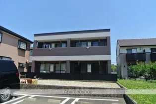 エバーグリーンの画像