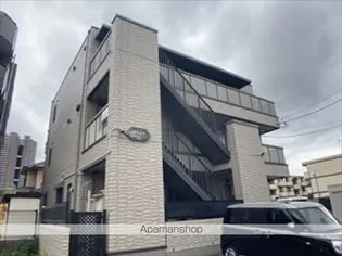 ロベリアの画像