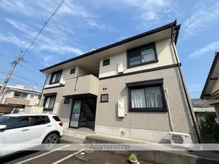 ハイカムールベルの画像