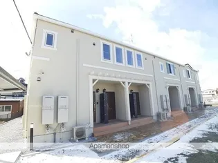 アルメリアの画像